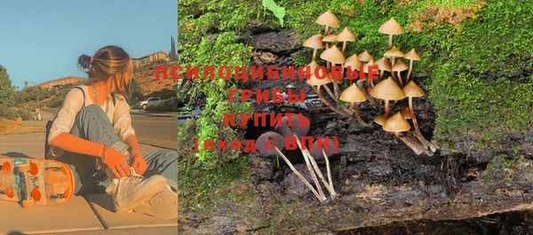 дурь Алзамай