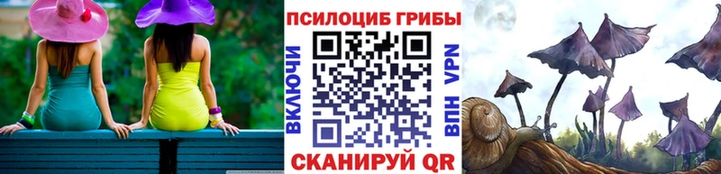 Псилоцибиновые грибы мухоморы Шацк