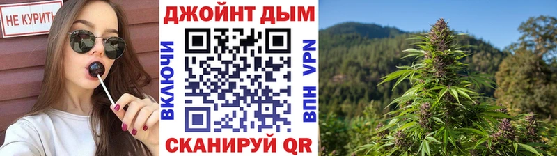 Каннабис сатива Шацк